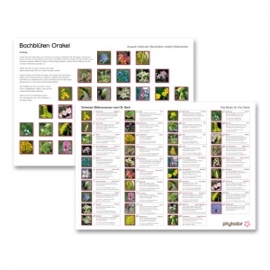 Auswahlhilfe Bachblüten-Orakel