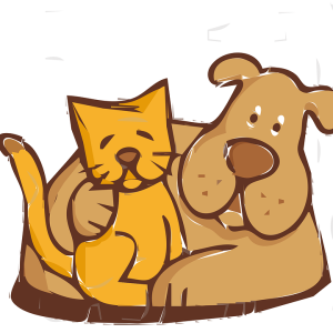 Infoabend - Ernährung von Hund und Katze